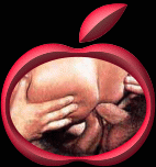 ButtFuck.gif 13.4 K